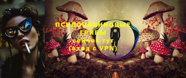 соль ск Алексин