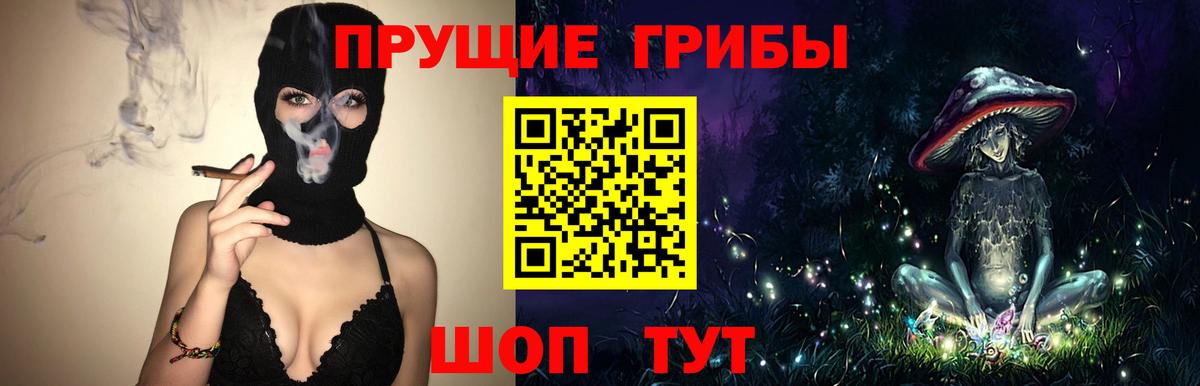 Симферополь  Псилоцибиновые грибы MAGIC MUSHROOMS  Вход с VPN 